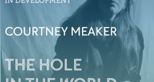 The Hole In The World by Courtney Meaker